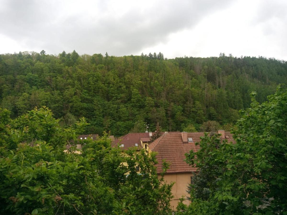 Samostatny V Zahrade Holiday home